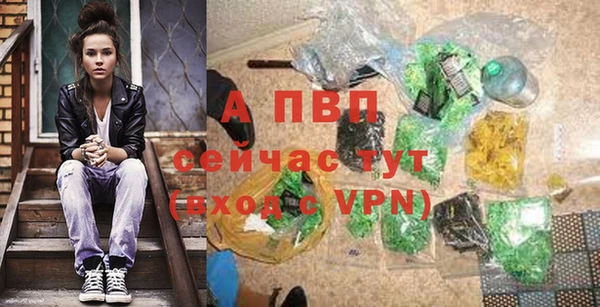 ешки Абинск