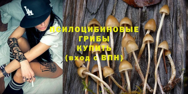 ешки Абинск