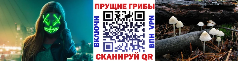 Псилоцибиновые грибы ЛСД  мега зеркало  Абакан 