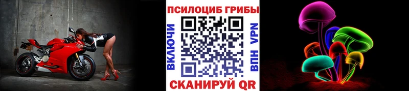 Псилоцибиновые грибы прущие грибы Абакан
