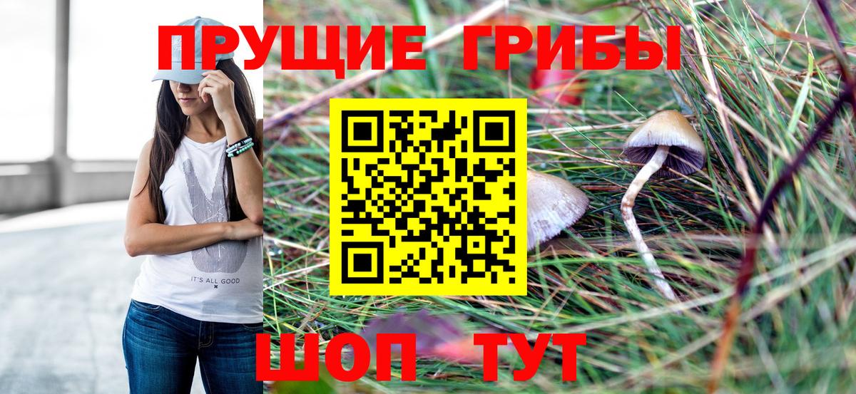 Псилоцибиновые грибы Magic Shrooms Абакан