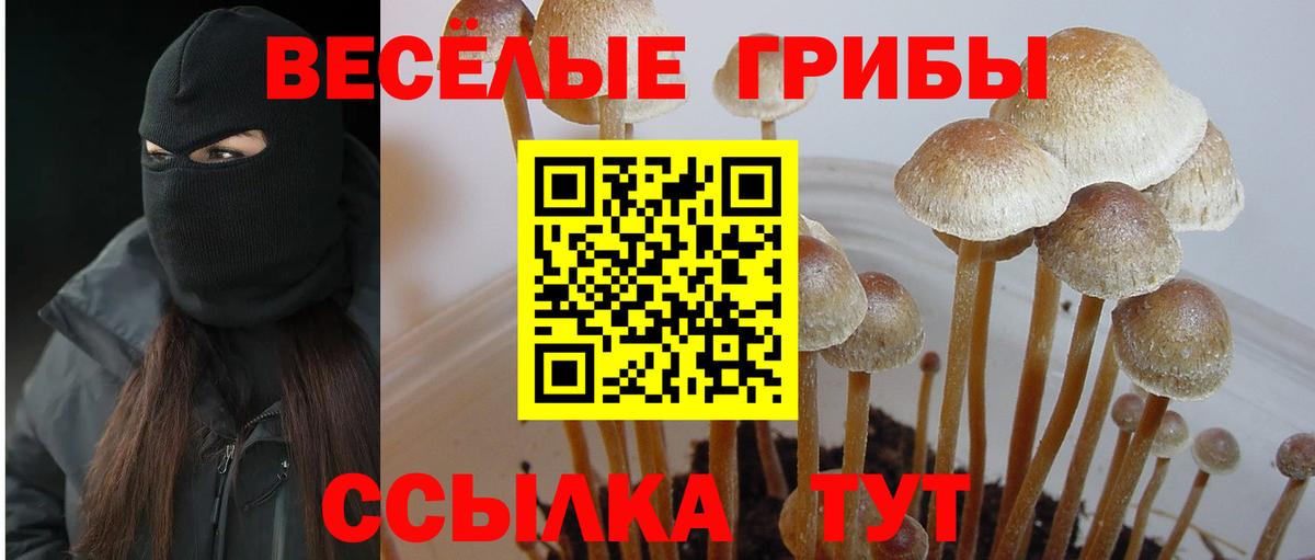 Абакан  Галлюциногенные грибы мухоморы  Вход с VPN 