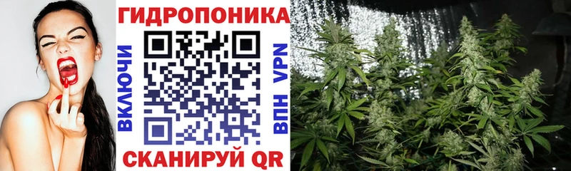 Конопля индика Абакан